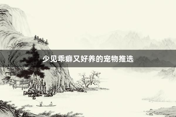 少见乖癖又好养的宠物推选